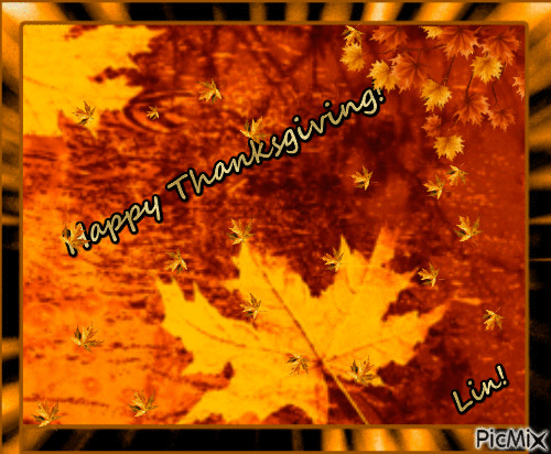 Happy Thanksgiving Leaf Reflection Gif Pictures, Photos, And Images For  Facebook, Tumblr, Pinterest, And Twitter