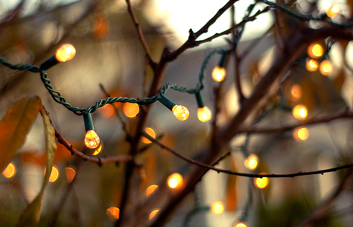 Christmas Lights Christmas Lights
