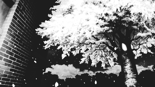 Falling snow Falling snow