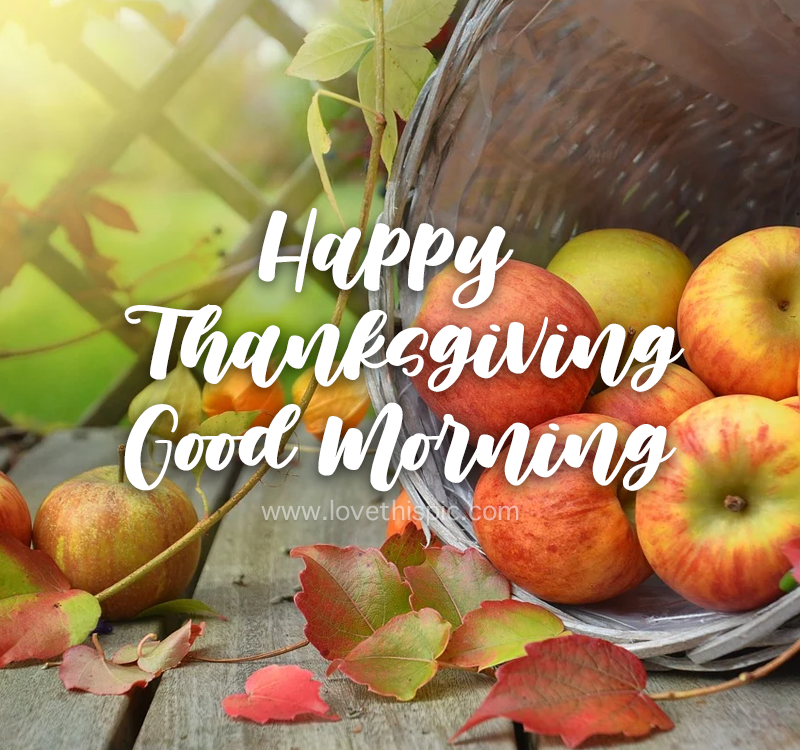 Apple Autumn Happy Thanksgiving Good Morning Quote Pictures, Photos, And  Images For Facebook, Tumblr, Pinterest, And Twitter