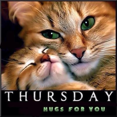 Thursday Hugs for you Thursday Hugs for you