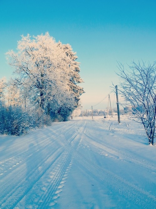 Winter Outdoor