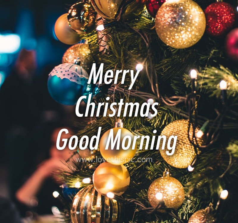 Lit Christmas Tree Merry Christmas Good Morning Pictures, Photos, and
