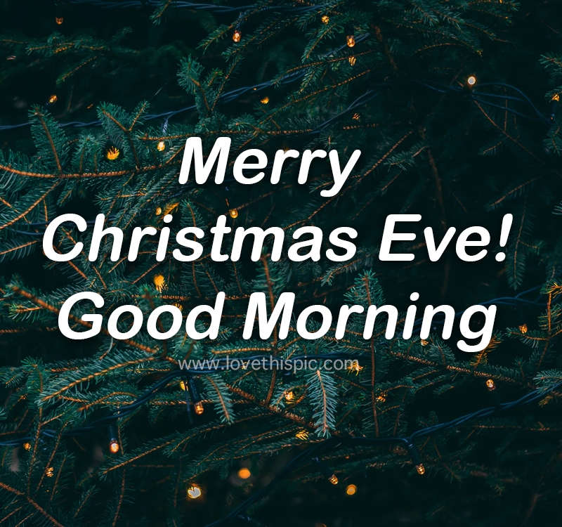 Green Pine Tree Merry Christmas Eve Quote Pictures, Photos, and Images