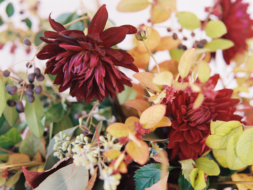 Colorful autumn flowers
