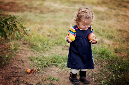 Little picker