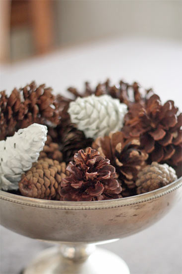 Paint dipped pinecones Paint dipped pinecones