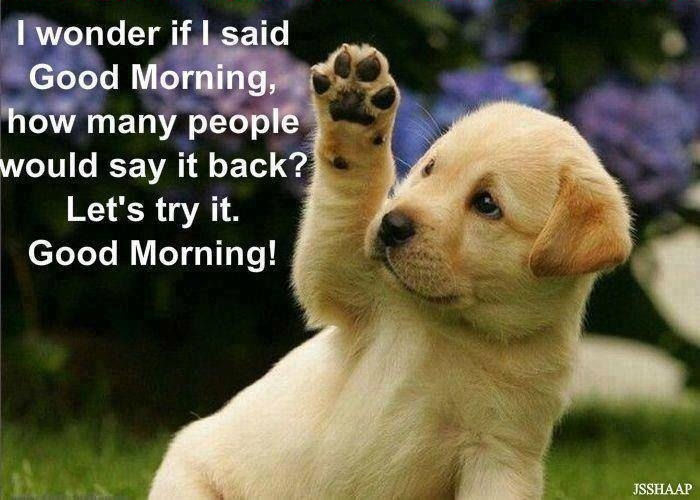 good morning