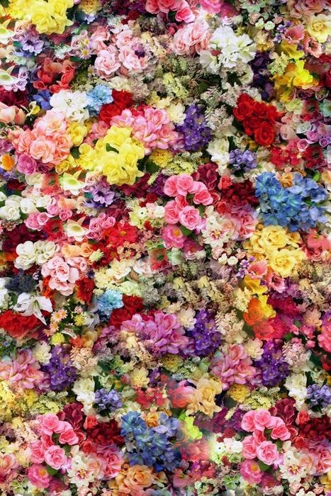 Carpet of Flowers