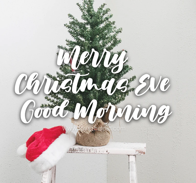 Mini Christmas Tree Merry Christmas Tree, Good Morning Image Pictures