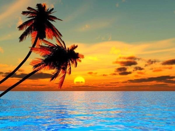 Ocean Sunset