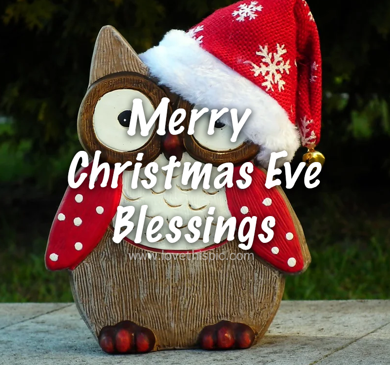 Santa Owl Merry Christmas Eve Blessings Pictures, Photos, and Images for Facebook, Tumblr