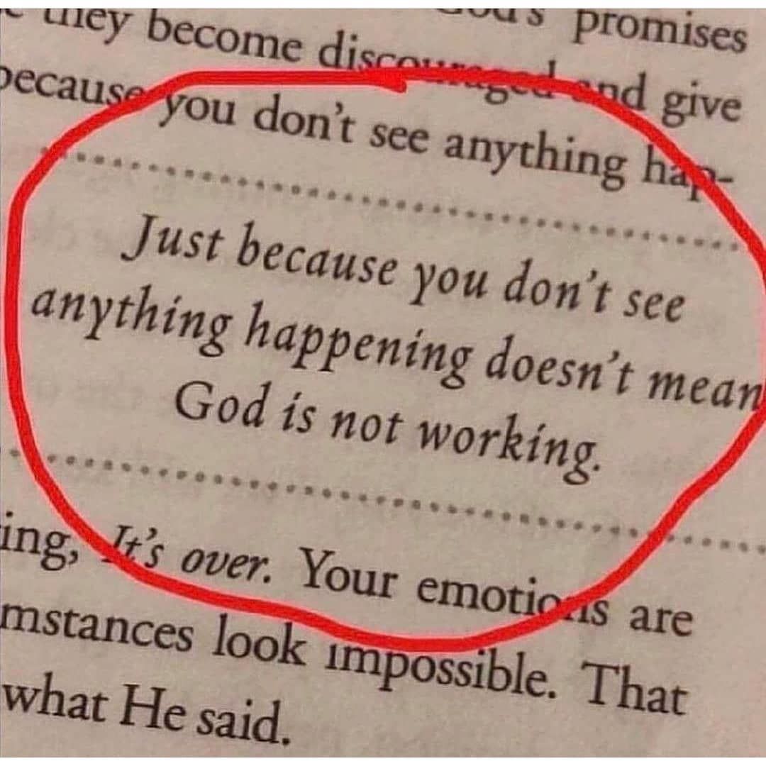 Just Because You Don't See Anything Happening Pictures, Photos, and ...