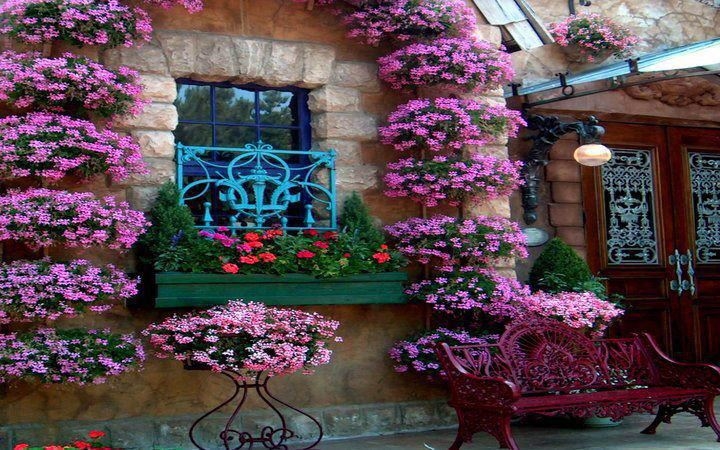 Flower Covered Buidling Front Flower Covered Buidling Front