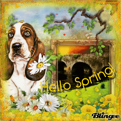 Dog Hello Spring Pictures, Photos, and Images for Facebook, Tumblr ...
