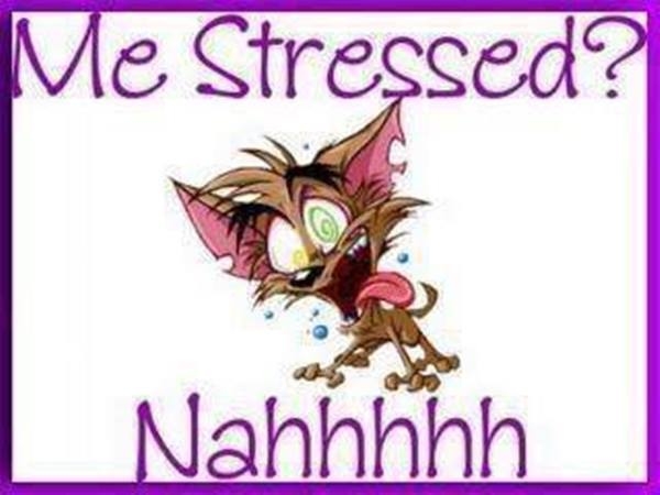 me stressed me stressed