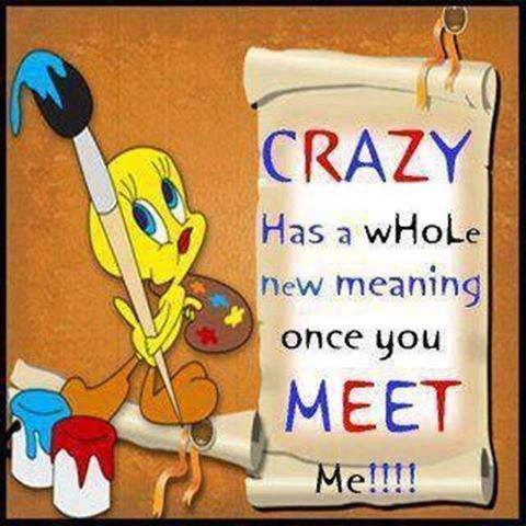crazy has a whole new meaning crazy has a whole new meaning