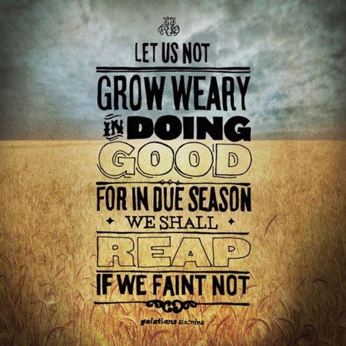 Let us not grow weary