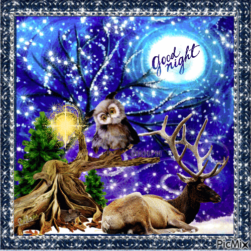 Owl Good Night Gif Pictures, Photos, and Images for Facebook, Tumblr, Pinterest, and Twitter