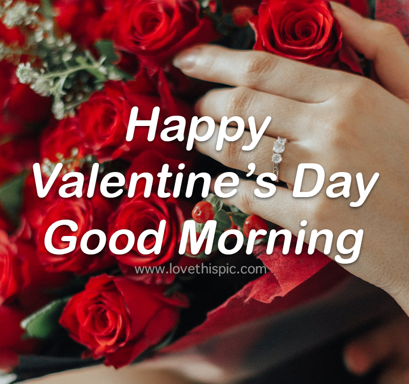 Good Morning Valentine Day Red Roses Happy Valentine's Day, Good Morning Pictures, Photos, And Images  For Facebook, Tumblr, Pinterest, And Twitter