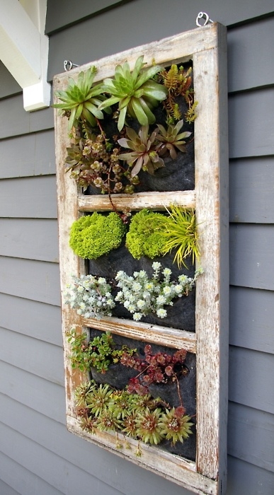 Old Window into Garden Old Window into Garden