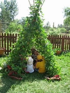 Garden Hut