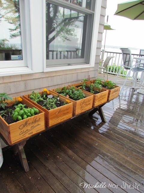 Wine Box Garden