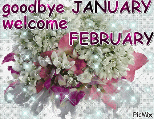Sparkling Goodbye January Welcome February Gif Pictures, Photos, and Images  for Facebook, Tumblr, Pinterest, and Twitter