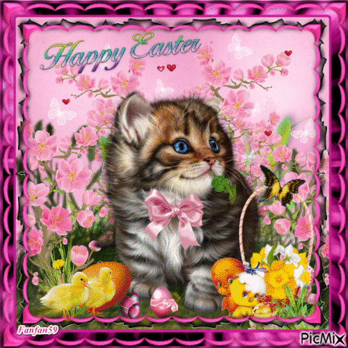 Kitten Happy Easter Gif Pictures, Photos, and Images for Facebook
