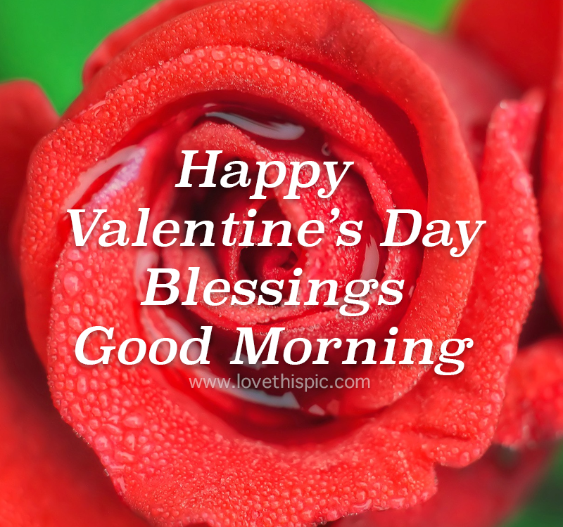 Water Red Rose Happy Valentine's Day Blessings Pictures, Photos, and