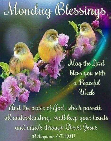 Monday Blessings With Bible Verse Images Phillipians 4:7 Monday Blessings Scripture Pictures, Photos, And Images For  Facebook, Tumblr, Pinterest, And Twitter