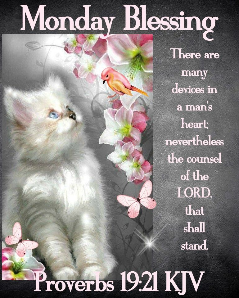 Monday Blessings With Bible Verse Images Proverbs Monday Blessing Scripture Pictures, Photos, And Images For  Facebook, Tumblr, Pinterest, And Twitter