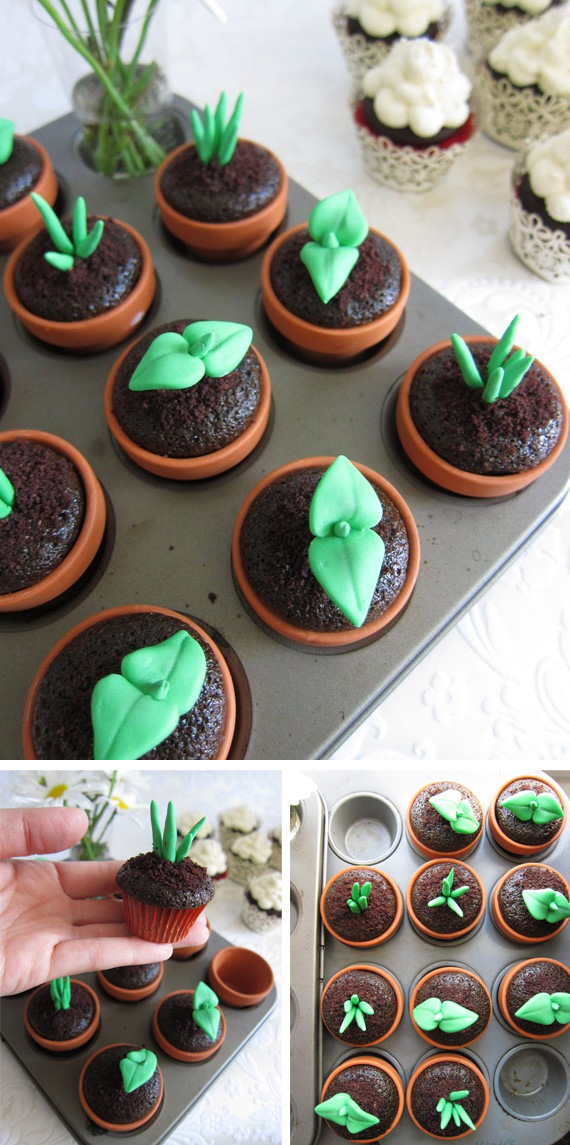 Cupcake Sprouts