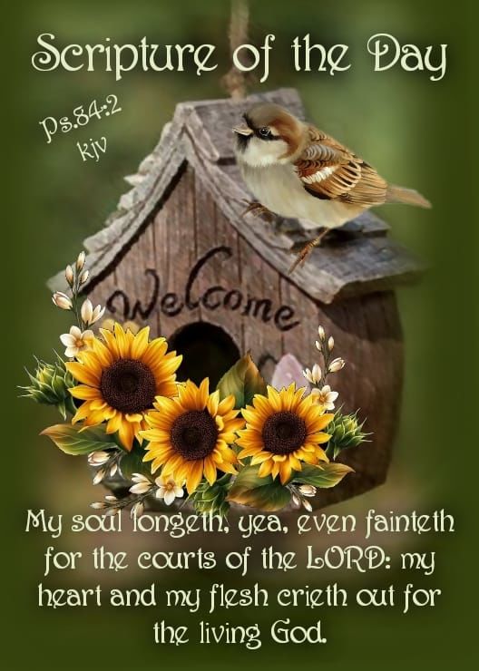scripture-of-the-day-via-psalms-84-2-pictures-photos-and-images-for