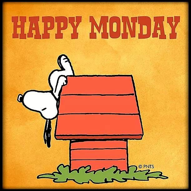 Happy Monday Snoopy Images Sleeping Snoopy Happy Monday Pictures, Photos, And Images For Facebook,  Tumblr, Pinterest, And Twitter