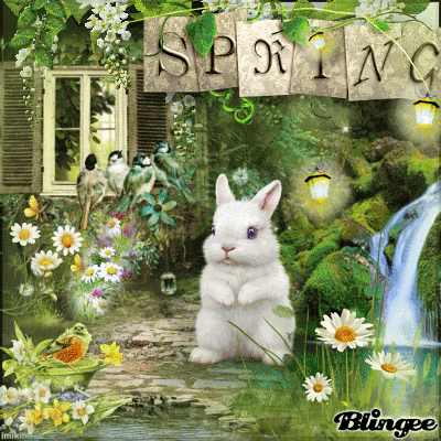 Lovely Spring Bunny Pictures, Photos, and Images for Facebook, Tumblr ...