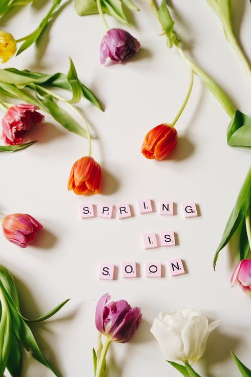 Spring Is Soon Pictures, Photos, and Images for Facebook, Tumblr ...