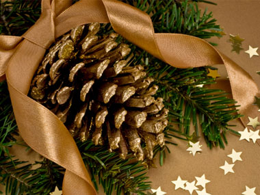 Pretty Pinecones