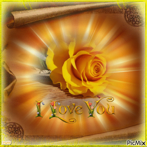 I Love You Yellow Rose Pictures, Photos, and Images for Facebook
