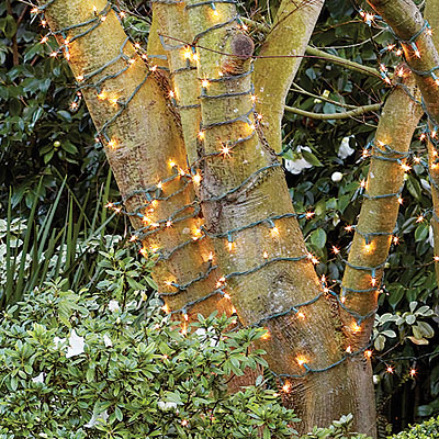Lighting garden trees