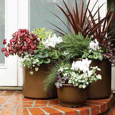 Group pots Group pots