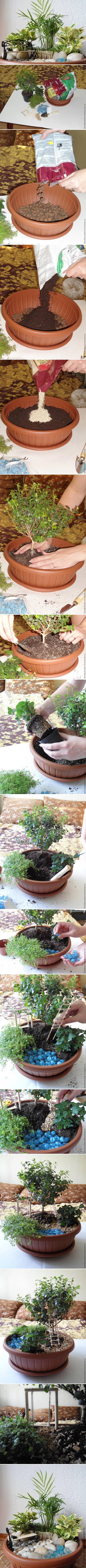 DIY Pot Mini Garden DIY Pot Mini Garden