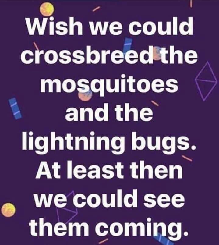 Wish We Could Crossbreed The Mosquitoes And The Lightning Bugs Pictures