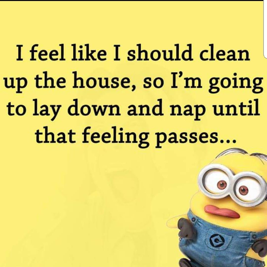 I Feel Like I Should Clean Up The House Pictures, Photos, and Images ...