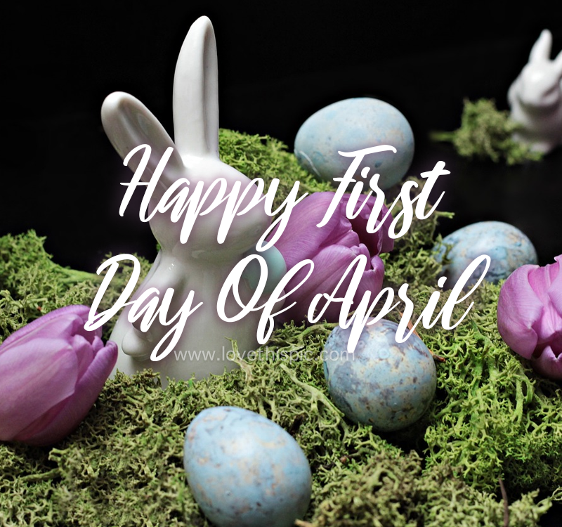 Hare & Easter Eggs - Happy First Day Of April Pictures, Photos, and