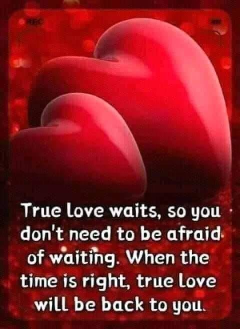 True Love Waits Quotes True Love Waits, So You Dont Need To Be Afraid Of Waiting Pictures, Photos,  And Images For Facebook, Tumblr, Pinterest, And Twitter