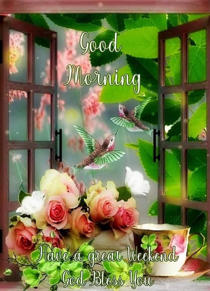 Good Morning Have A Great Weekend Pictures Photos And Images For Facebook Tumblr Pinterest And Twitter