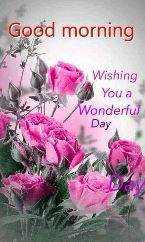 Wonderful Good Morning Wishes Pictures, Photos, and Images for Facebook, Tumblr, Pinterest, and Twitter
