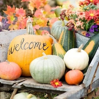 Autumn harvest Autumn harvest