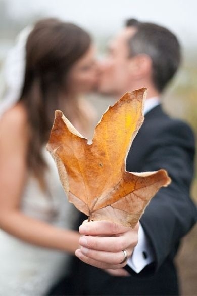 Autumn wedding bliss Autumn wedding bliss